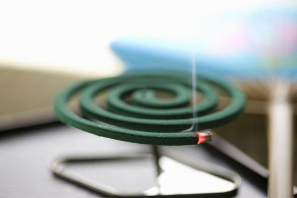 what happens if eat mosquito coil