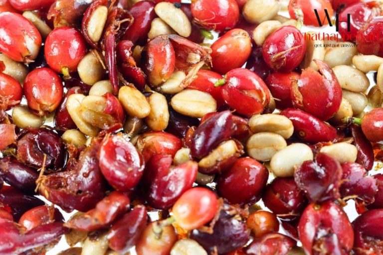 What Happens If You Swallow Cherry Seeds? [Serious Warning]