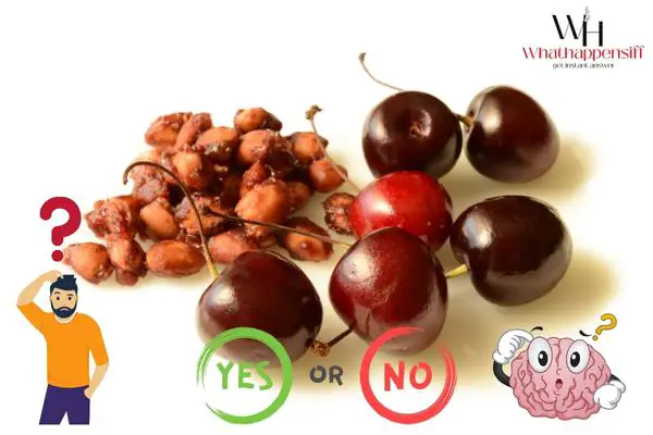 What Happens If You eat Cherry Seeds