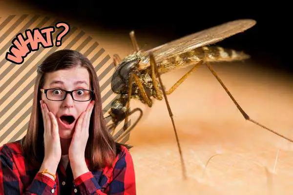 what would happen if female mosquitoes went extinct