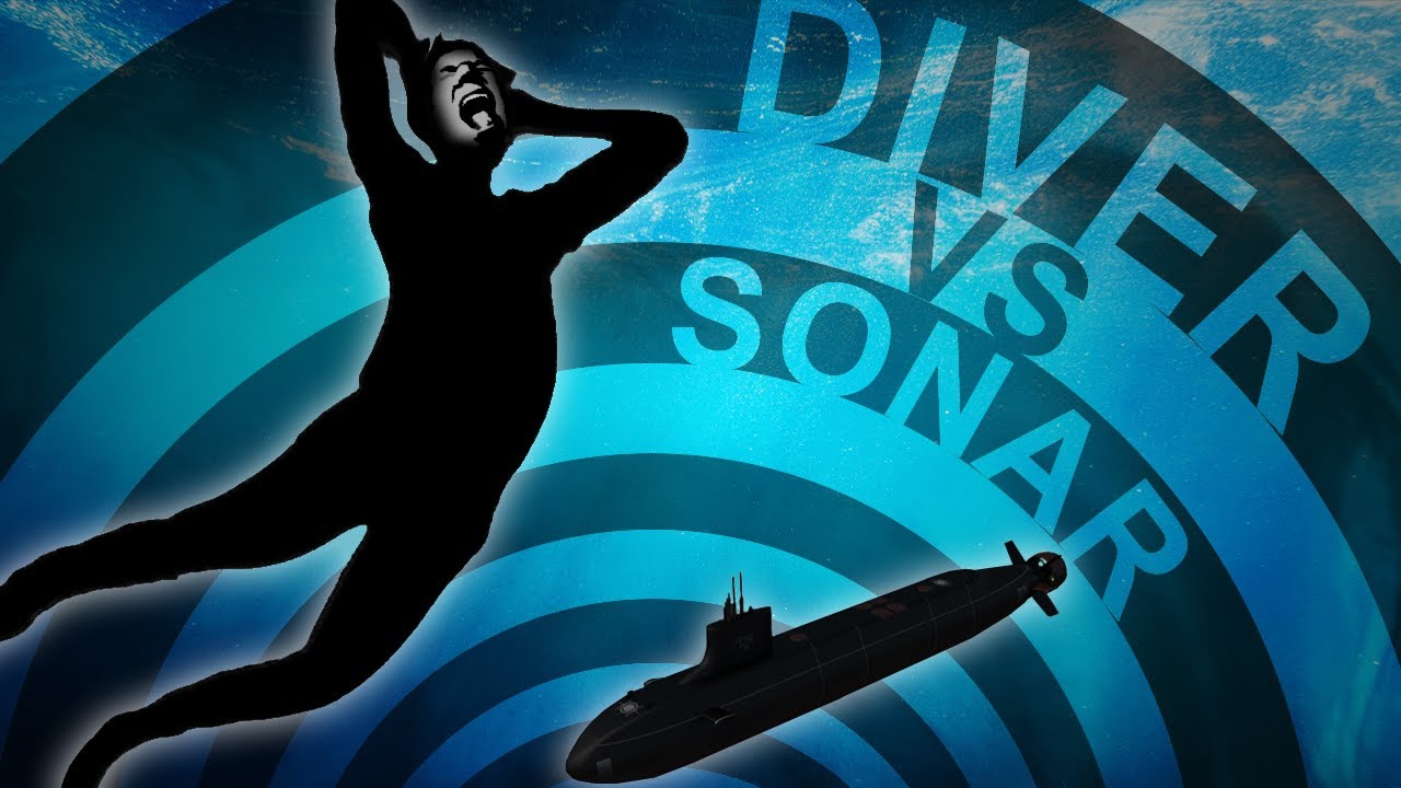 What Happens If Sonar Ping Hits Diver