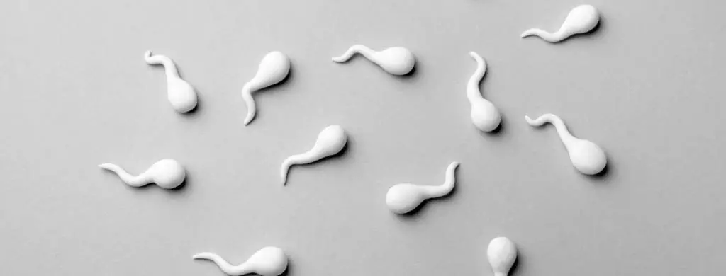 What Happens If You Sleep With Sperm in You
