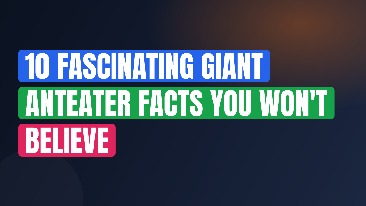 10 Fascinating Giant Anteater Facts You Won't Believe