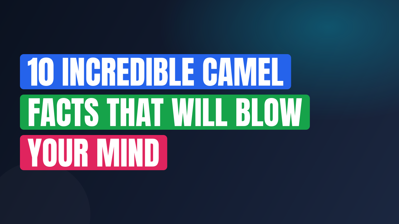 10 Incredible Camel Facts That Will Blow Your Mind