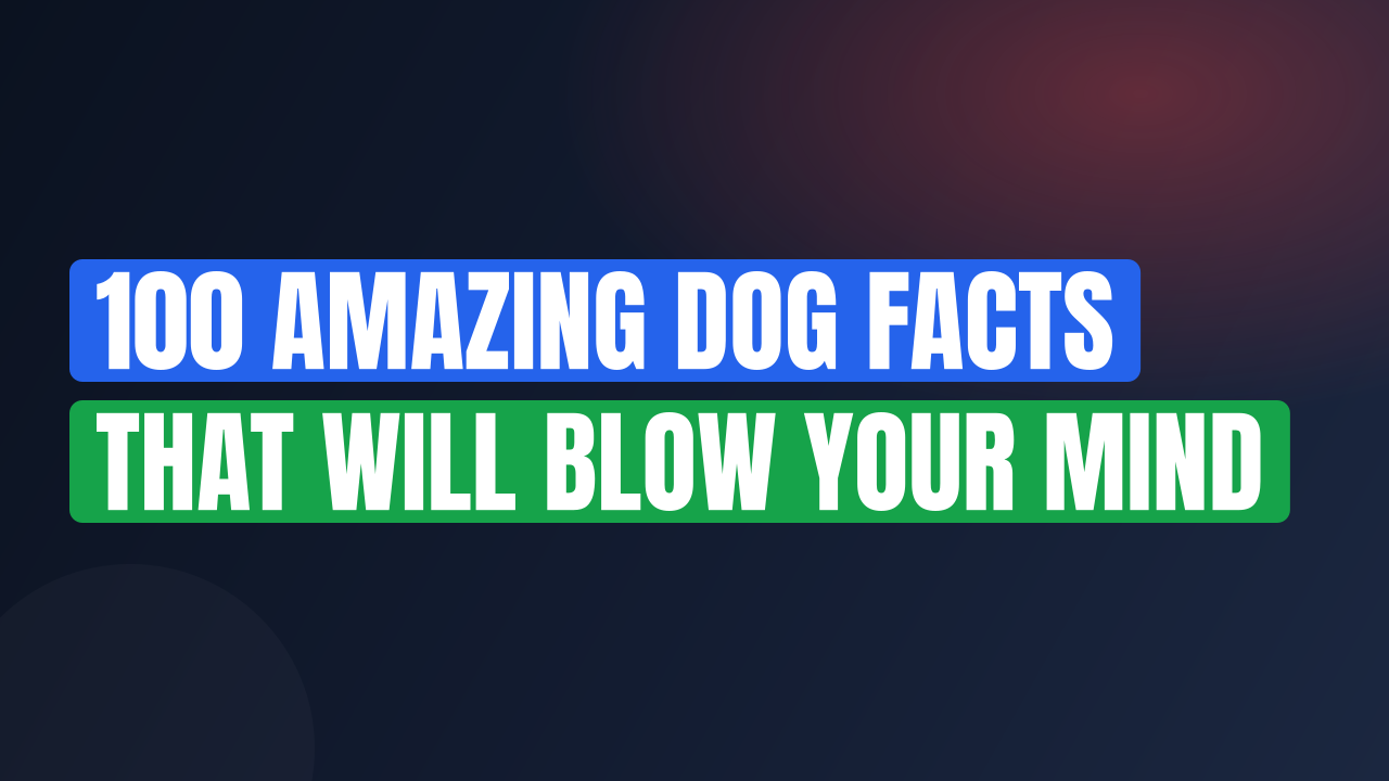 100 Amazing Dog Facts That Will Blow Your Mind
