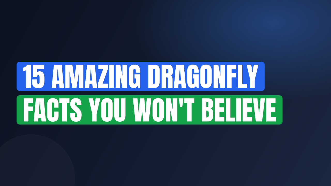 15 Amazing Dragonfly Facts You Won't Believe