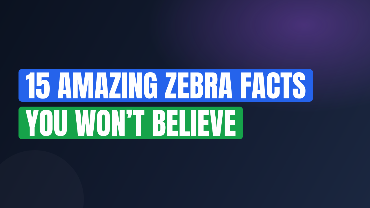15 Amazing Zebra Facts You Won’t Believe