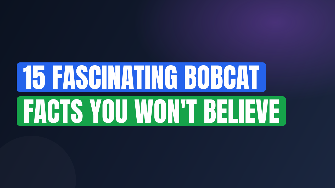 15 Fascinating Bobcat Facts You Won't Believe