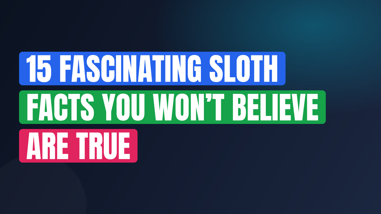 15 Fascinating Sloth Facts You Won’t Believe Are True