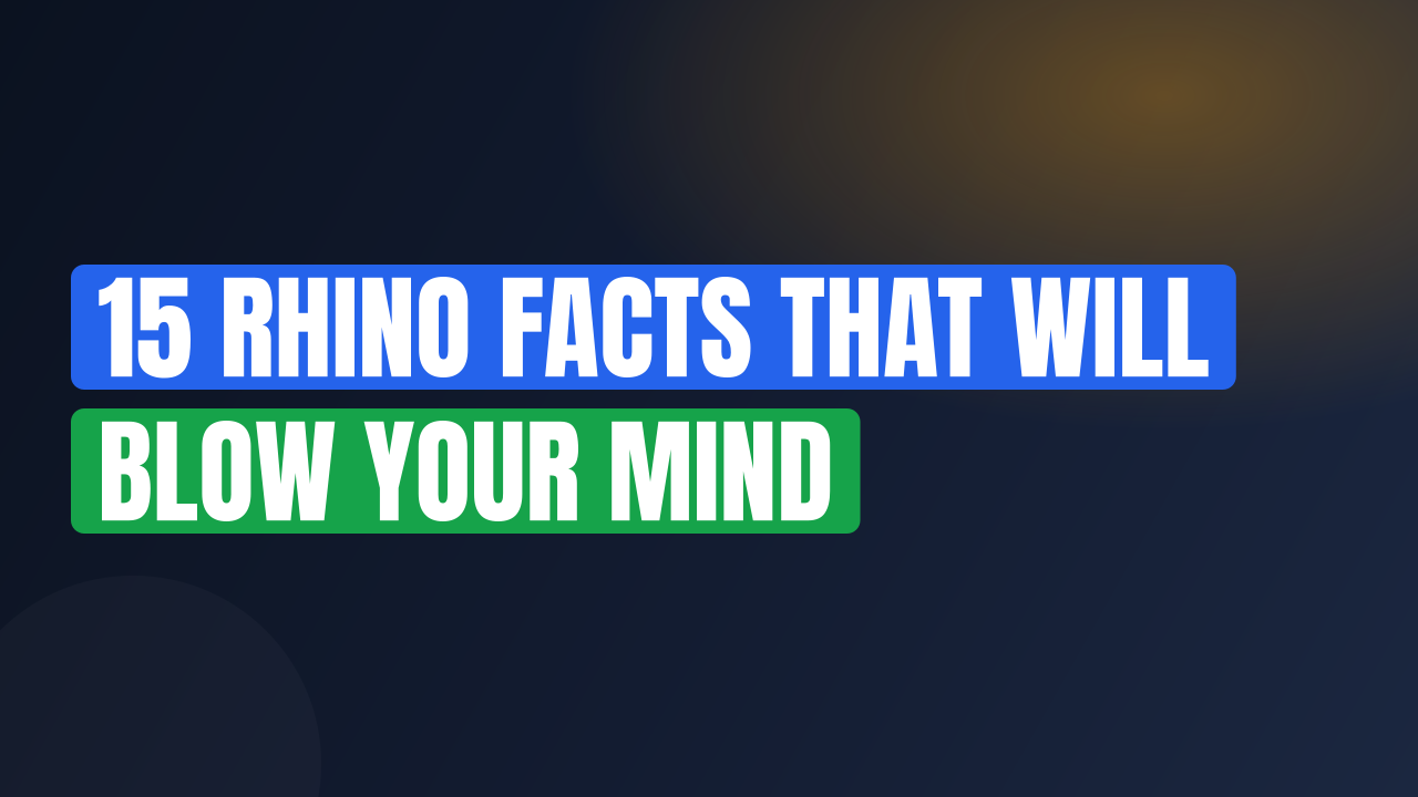 15 Rhino Facts That Will Blow Your Mind