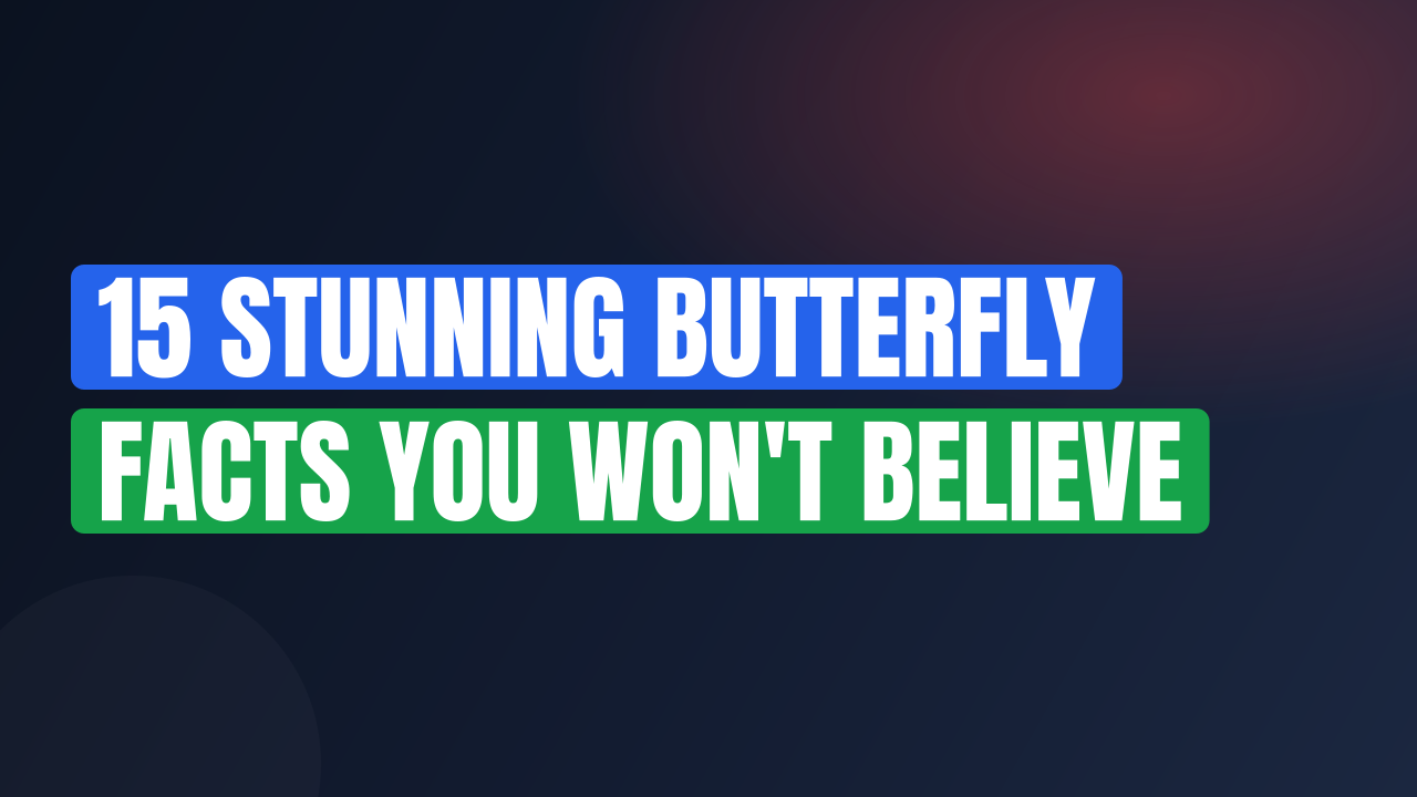 15 Stunning Butterfly Facts You Won't Believe