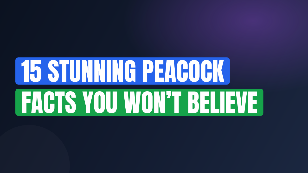 15 Stunning Peacock Facts You Won’t Believe