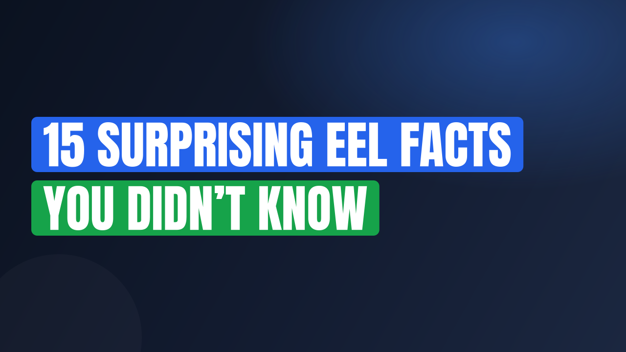 15 Surprising Eel Facts You Didn’t Know