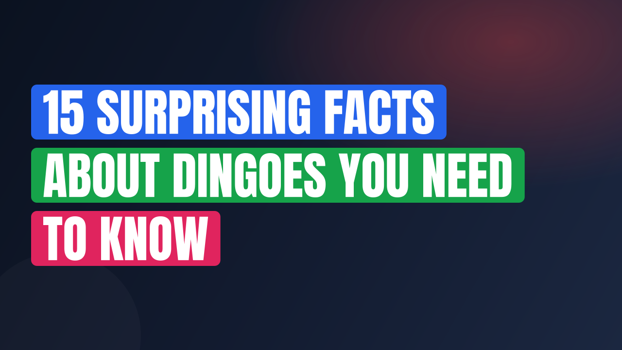 15 Surprising Facts About Dingoes You Need to Know
