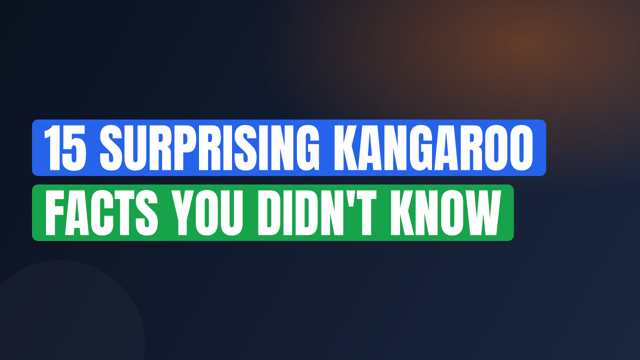 15 Surprising Kangaroo Facts You Didn't Know