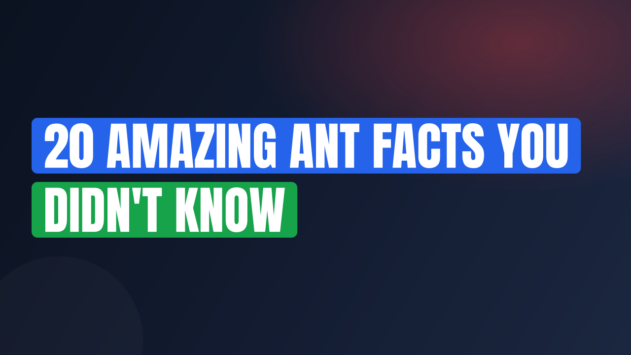 20 Amazing Ant Facts You Didn't Know