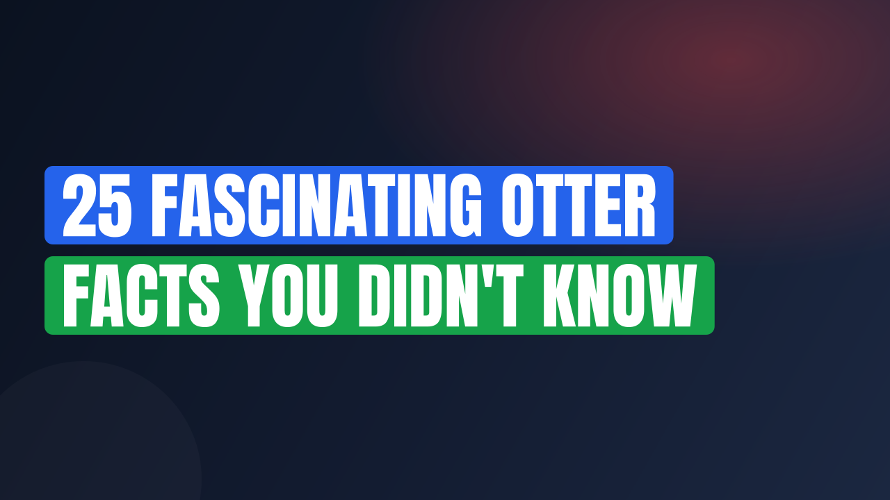 25 Fascinating Otter Facts You Didn't Know