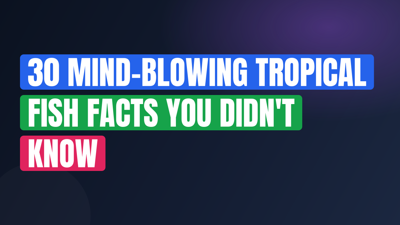 30 Mind-Blowing Tropical Fish Facts You Didn't Know