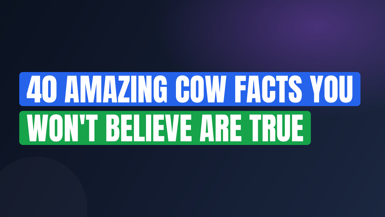 40 Amazing Cow Facts You Won't Believe Are True
