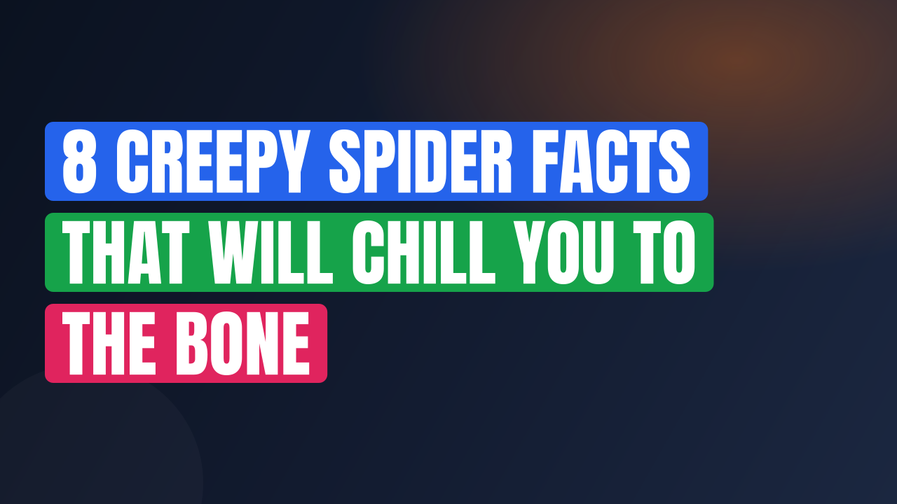 8 Creepy Spider Facts That Will Chill You to the Bone