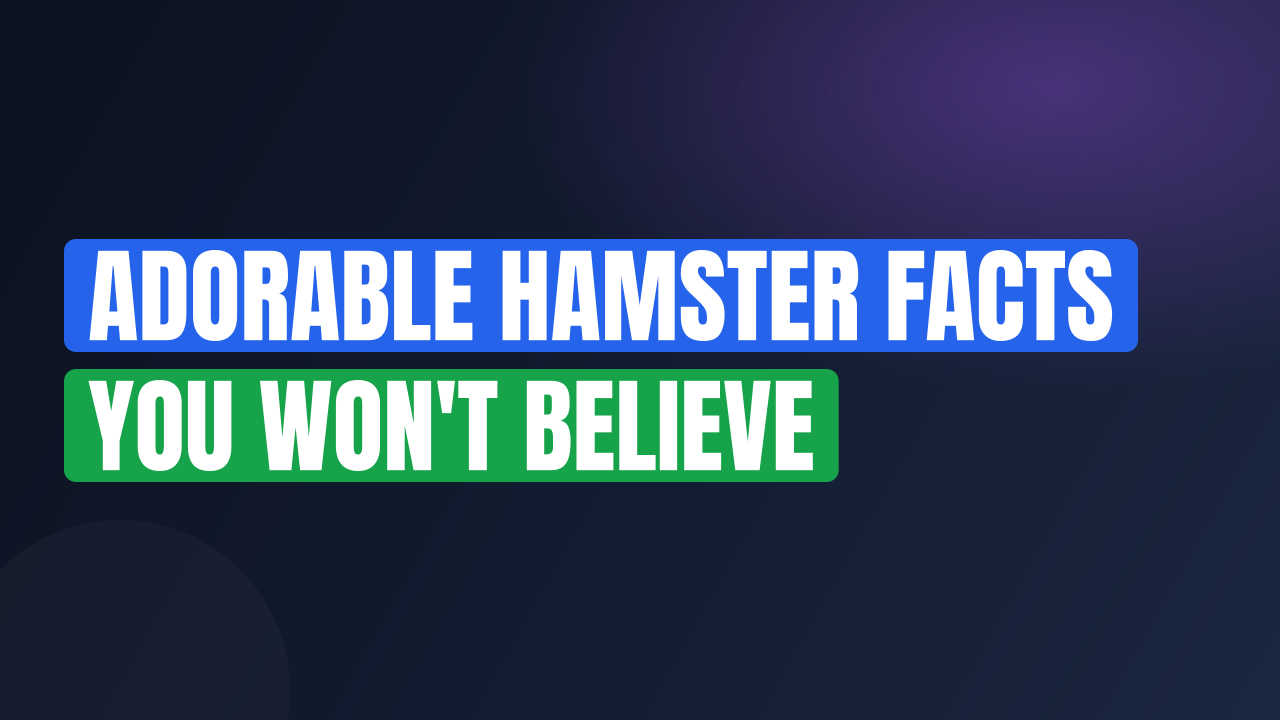 Adorable Hamster Facts You Won't Believe