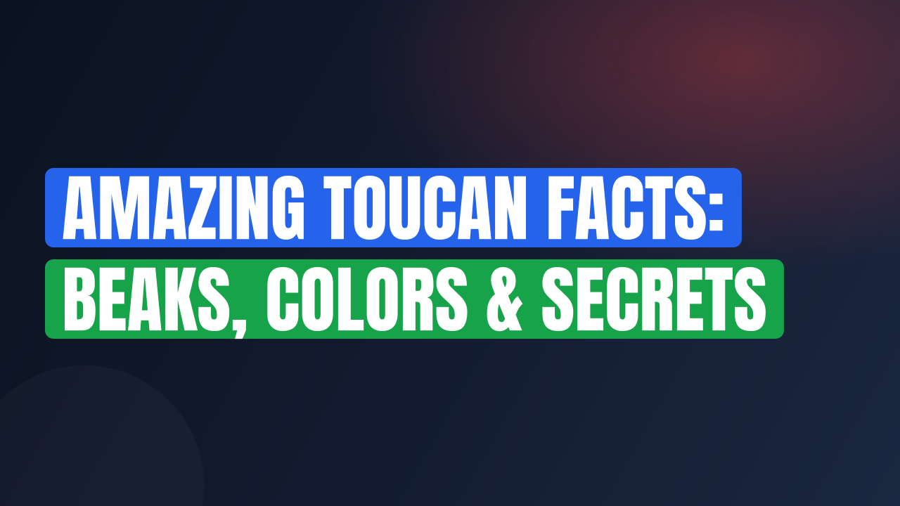 Amazing Toucan Facts: Beaks, Colors & Secrets