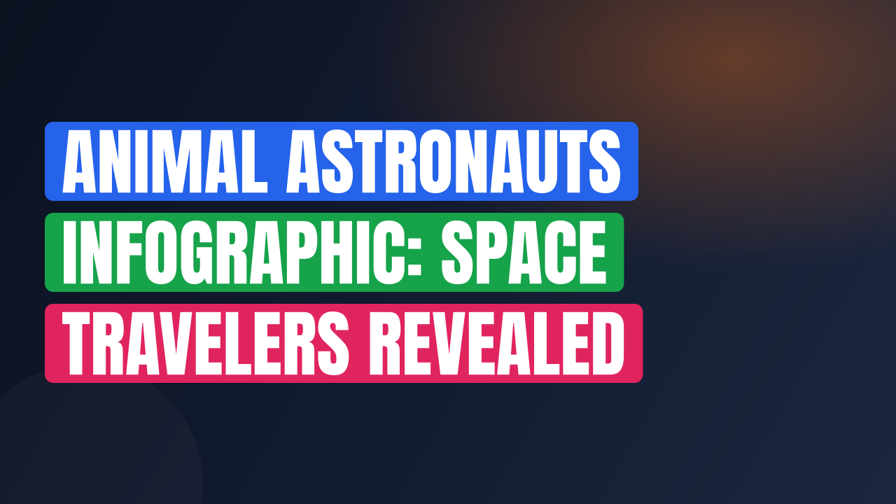 Animal Astronauts Infographic: Space Travelers Revealed