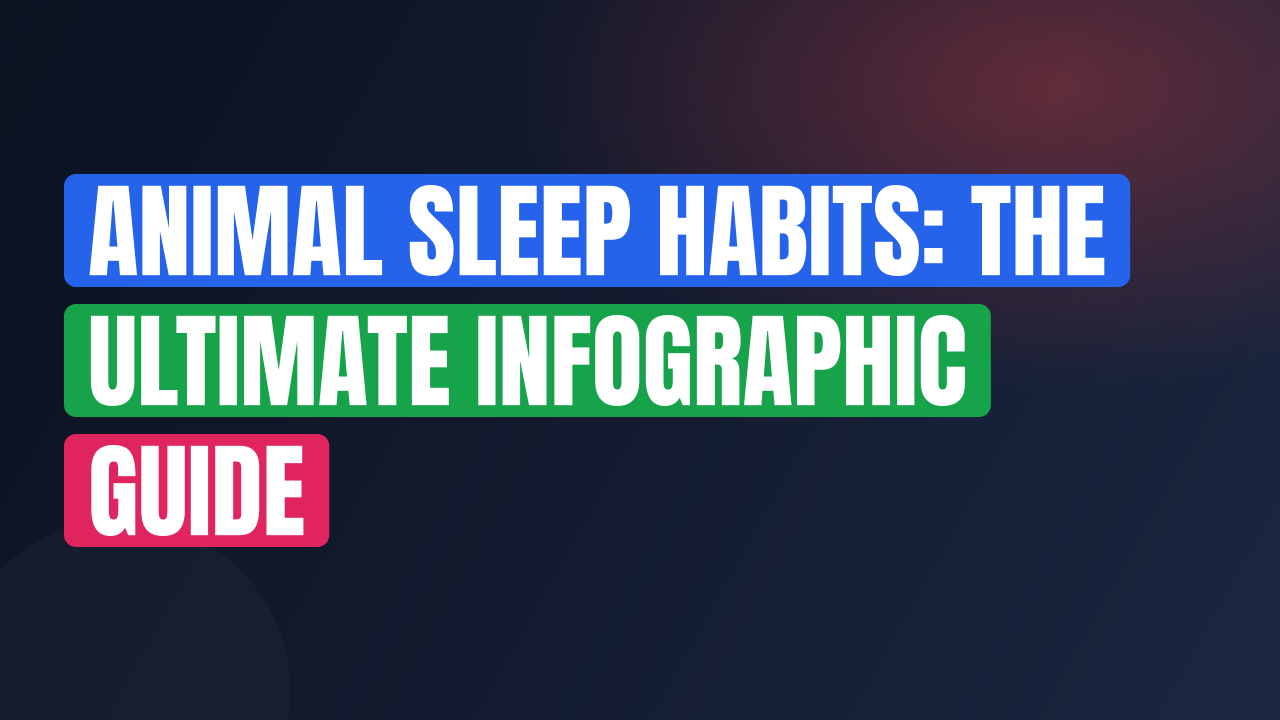Animal Sleep Habits: The Ultimate Infographic Guide
