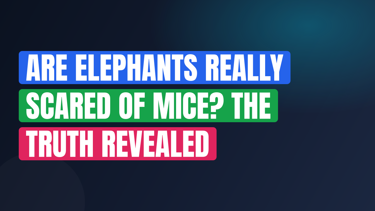 Are Elephants Really Scared of Mice? The Truth Revealed