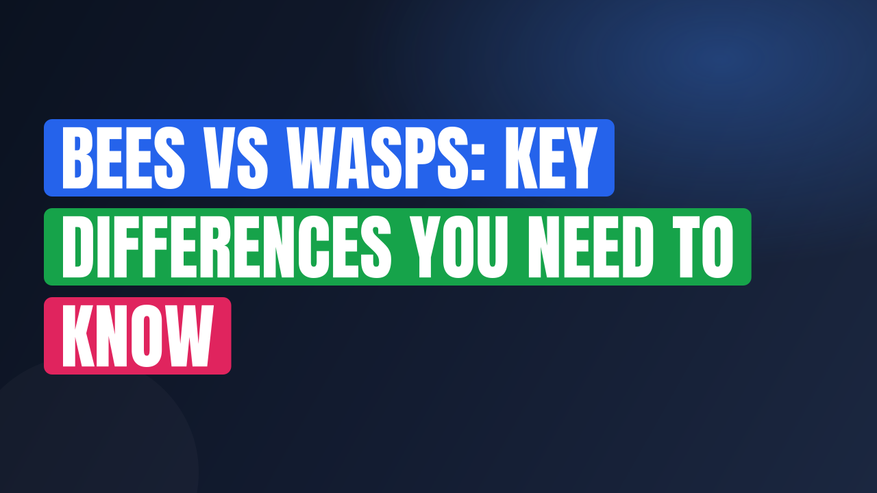 Bees vs Wasps: Key Differences You Need to Know