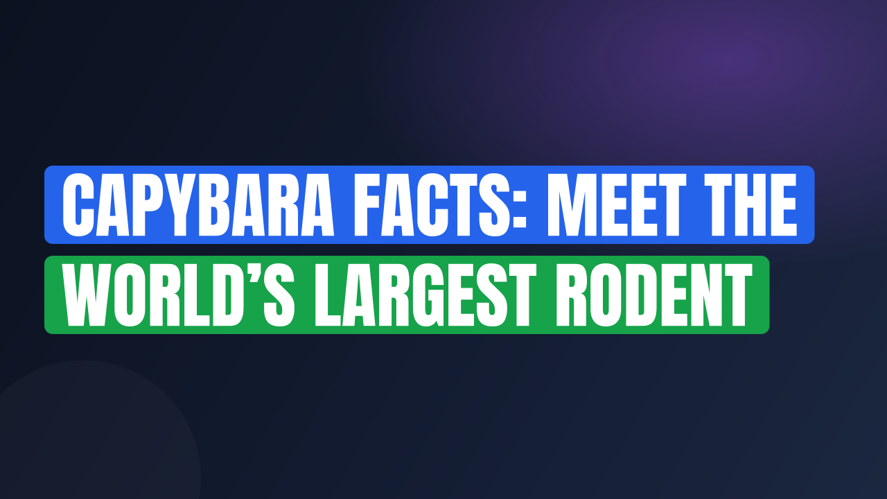Capybara Facts: Meet the World’s Largest Rodent