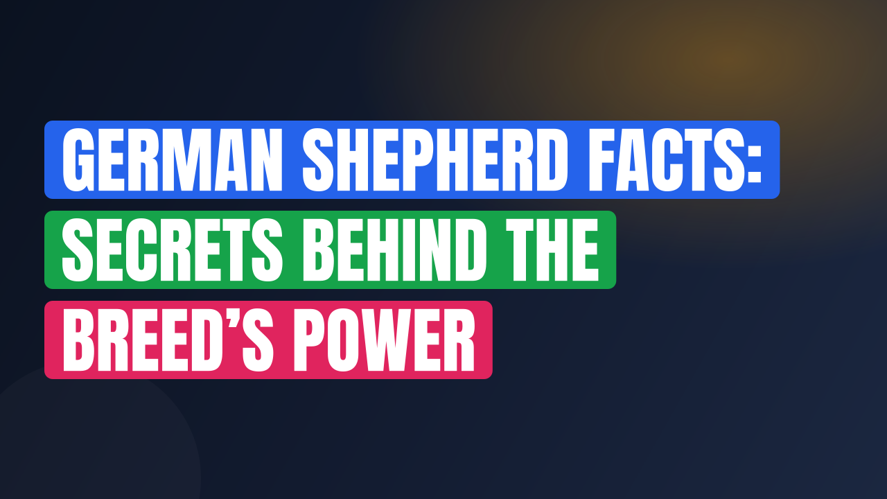 German Shepherd Facts: Secrets Behind the Breed’s Power
