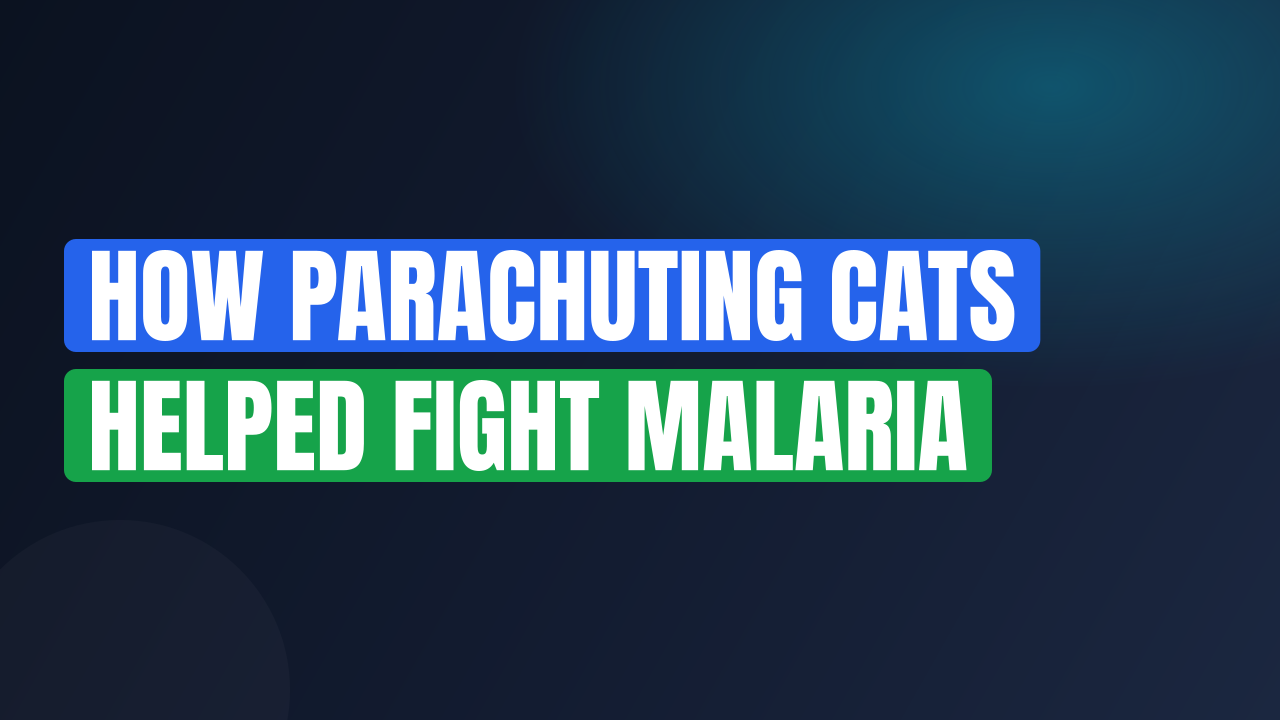 How Parachuting Cats Helped Fight Malaria