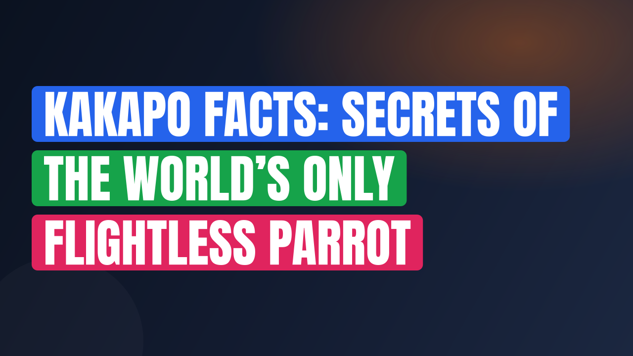 Kakapo Facts: Secrets of the World’s Only Flightless Parrot