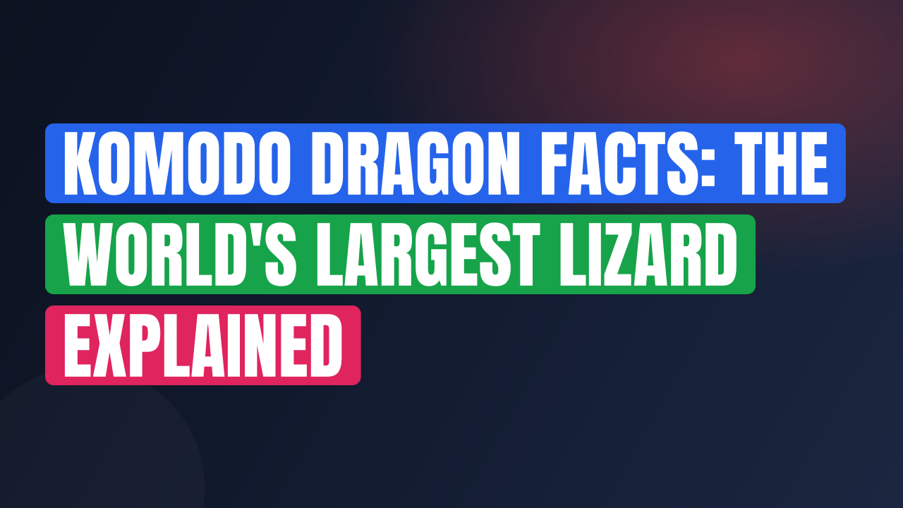 Komodo Dragon Facts: The World's Largest Lizard Explained