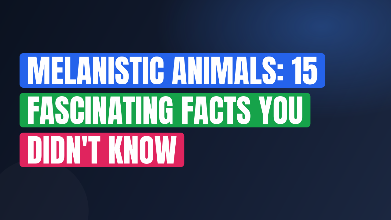 Melanistic Animals: 15 Fascinating Facts You Didn't Know