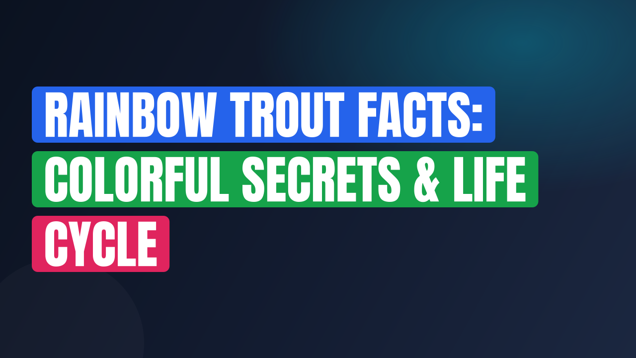 Rainbow Trout Facts: Colorful Secrets & Life Cycle