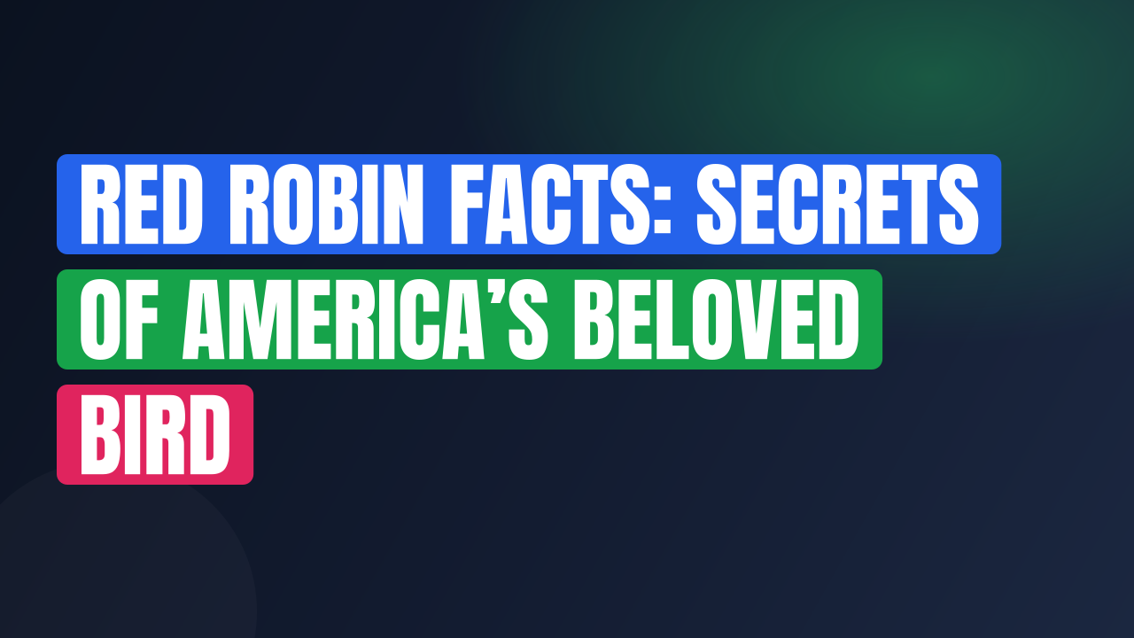 Red Robin Facts: Secrets of America’s Beloved Bird