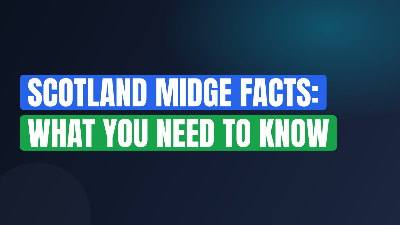 Scotland Midge Facts: What You Need to Know