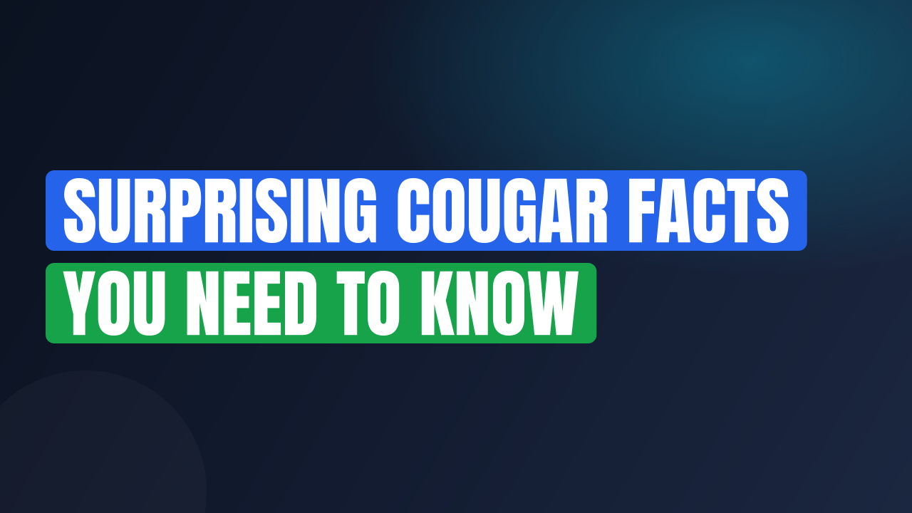 Surprising Cougar Facts You Need to Know