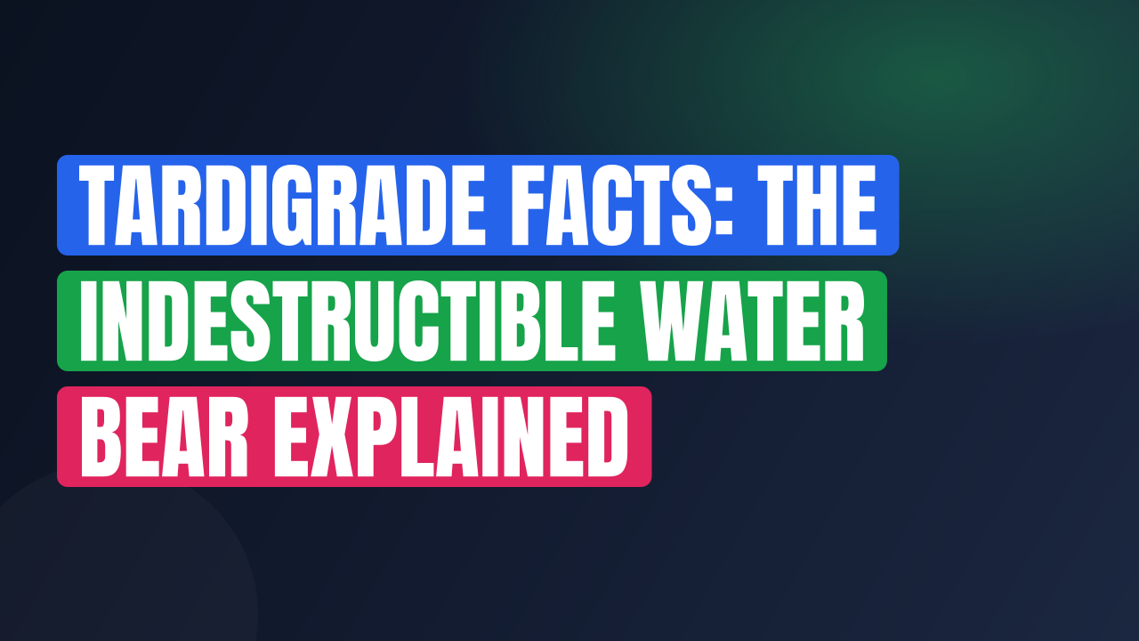 Tardigrade Facts: The Indestructible Water Bear Explained
