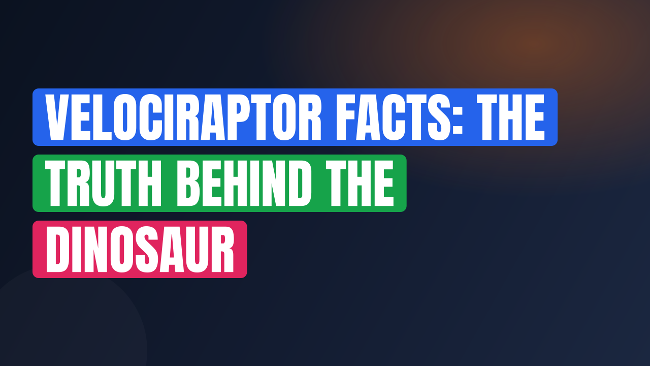 Velociraptor Facts: The Truth Behind the Dinosaur
