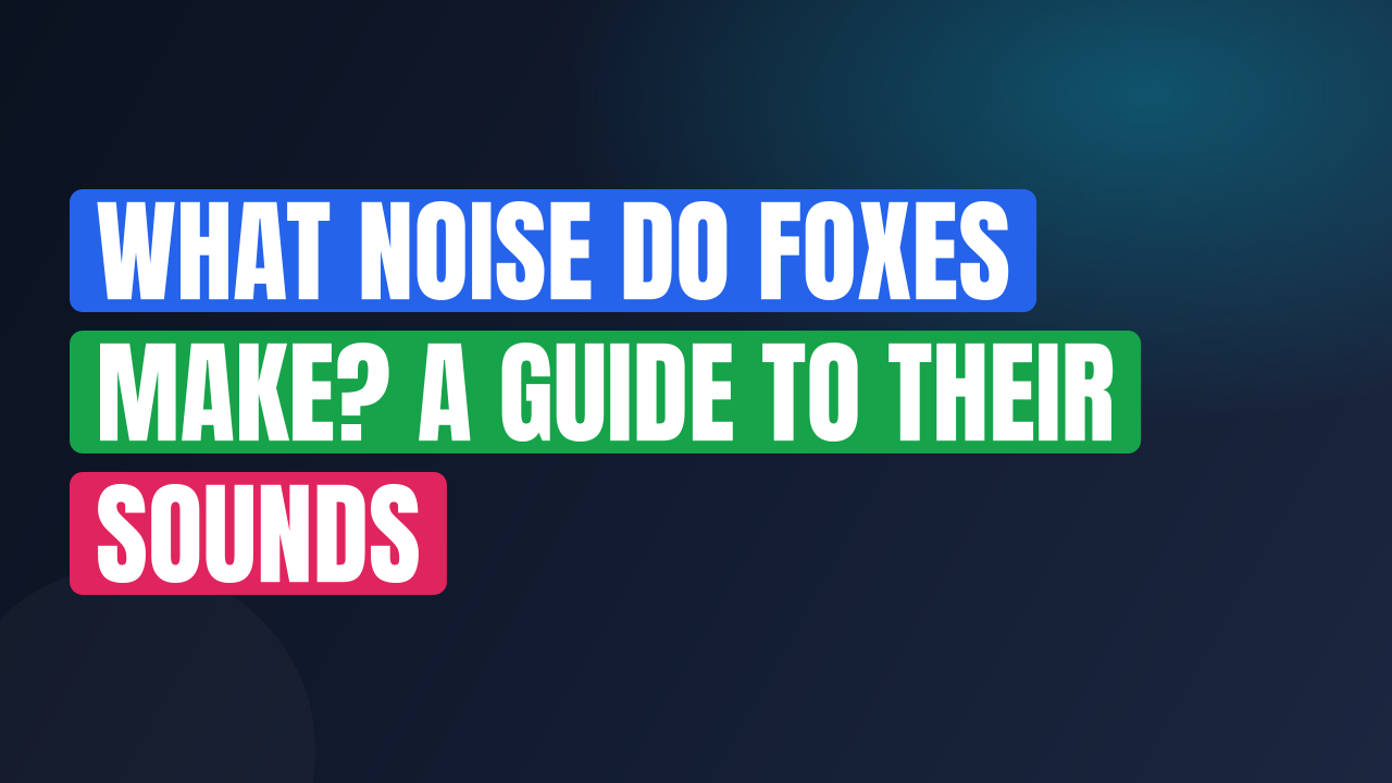 What Noise Do Foxes Make? A Guide to Their Sounds