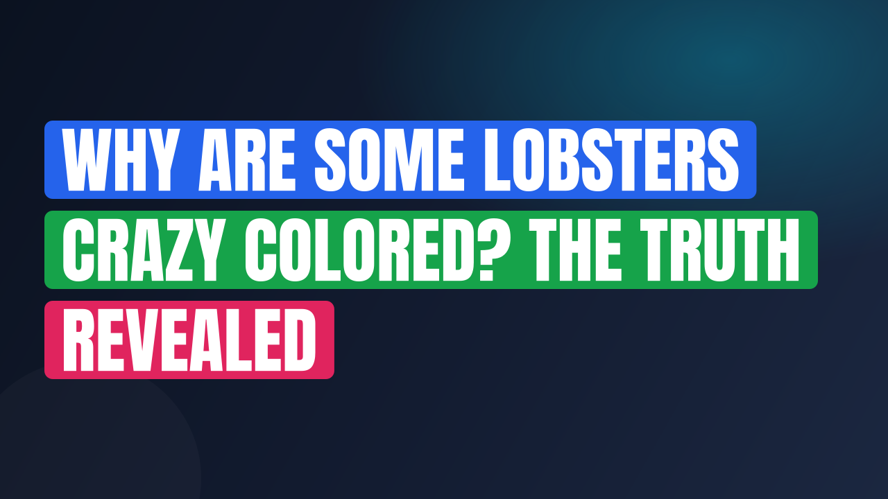 Why Are Some Lobsters Crazy Colored? The Truth Revealed