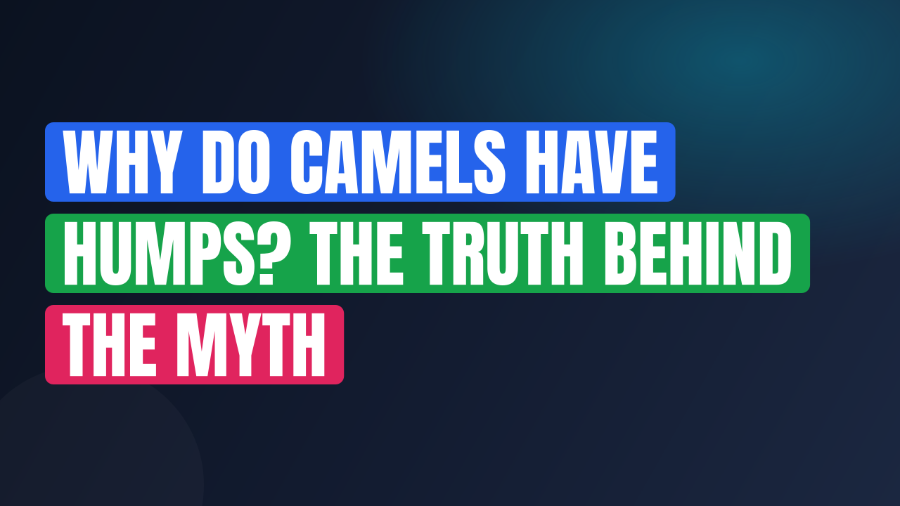 Why Do Camels Have Humps? The Truth Behind the Myth